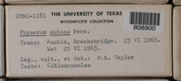 Image Associated With the Occurence